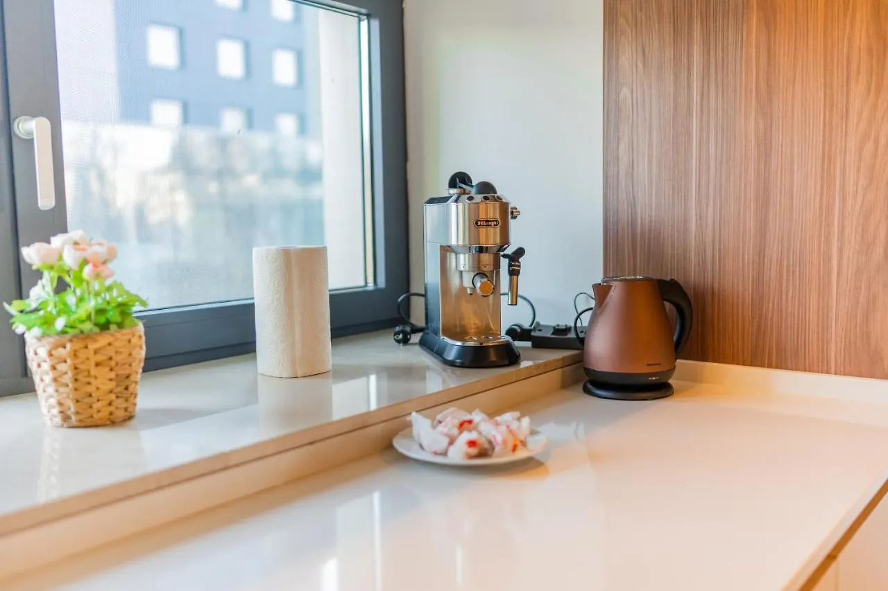 Designer Apartment In Aviatiei Tower Bucharest